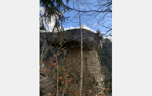 6750b2adeee18_IMG3677.JPG