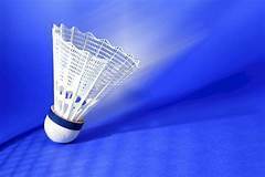 BADMINTON Championnat academique