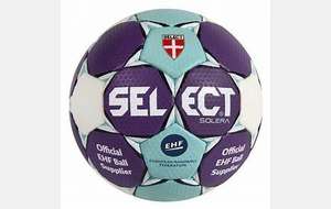 MF Handball Inter District