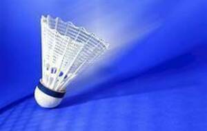 BADMINTON Championnat d'académie à Yenne (73)
