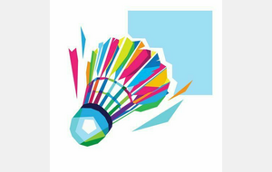 BADMINTON Inter-district 