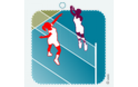 VOLLEY-BALL minimes